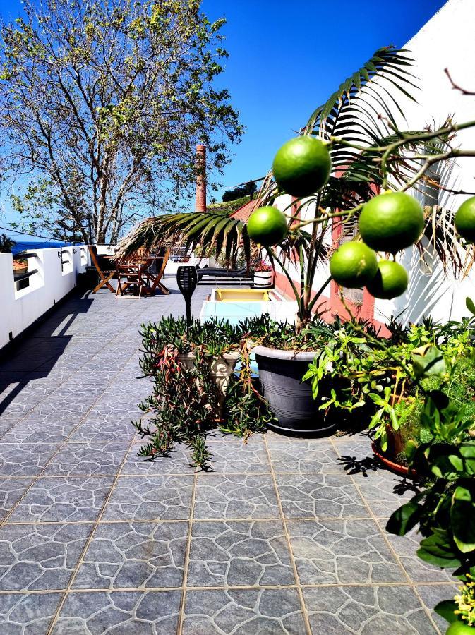 Mateus House - Porto Da Cruz Center Villa Dış mekan fotoğraf